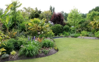 Entretien extérieur à Saint-Louis : un jardin impeccable sans effort constant