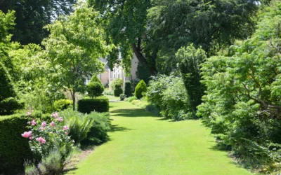 Engazonnement à Altkirch : une pelouse parfaite en quelques jours